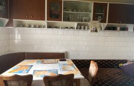 Apartament in asociatie cu grădina, garaj, zona Unirii