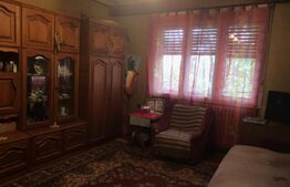 Apartament in asociatie cu grădina, garaj, zona Unirii