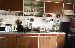Apartament in asociatie cu grădina, garaj, zona Unirii
