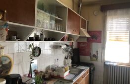 Apartament in asociatie cu grădina, garaj, zona Unirii