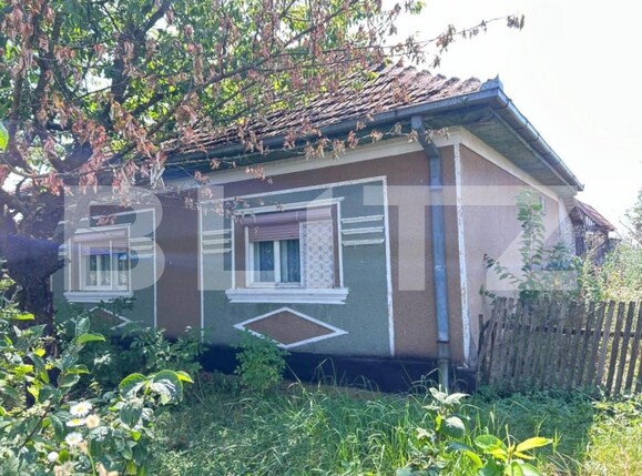 Casa de vânzare 2 camere Sud - 159652CV | BLITZ Satu Mare | Poza2