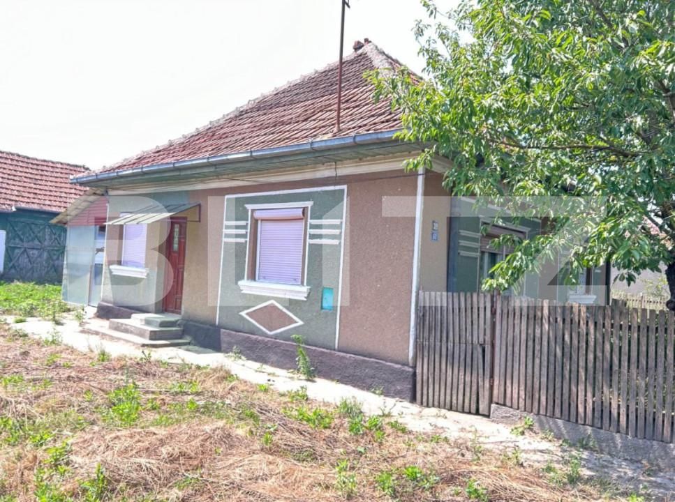 Casa de vânzare 2 camere Sud - 159652CV | BLITZ Satu Mare | Poza4
