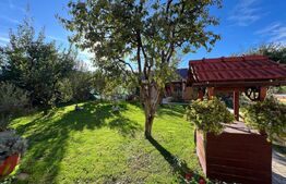 Casa 300mp si teren 1200mp – zona Cloșca