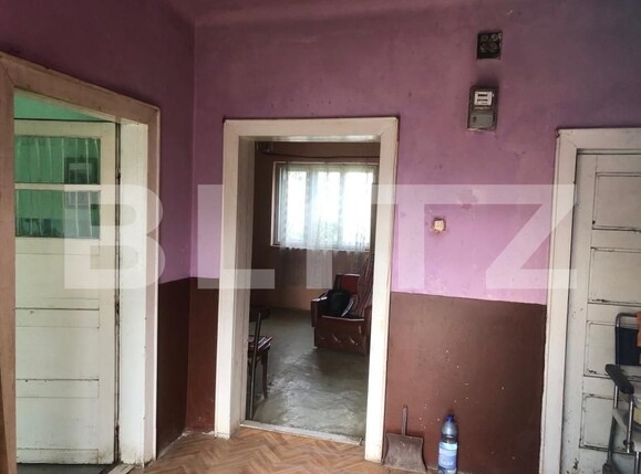 Casa de vânzare 3 camere Odoreu - 159794CV | BLITZ Satu Mare | Poza6