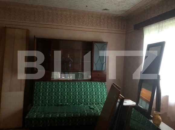 Casa de vânzare 3 camere Odoreu - 159794CV | BLITZ Satu Mare | Poza1