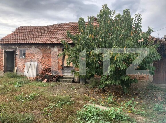 Casa de vânzare 3 camere Odoreu - 159794CV | BLITZ Satu Mare | Poza7