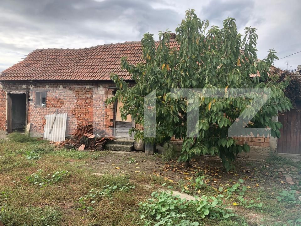 Casa de vânzare 3 camere Odoreu - 159794CV | BLITZ Satu Mare | Poza7