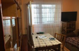 Apartament  2 camere, zona Botizului 