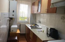 Apartament  2 camere, zona Botizului 