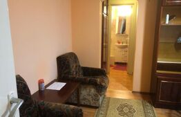 Apartament  2 camere, zona Botizului 
