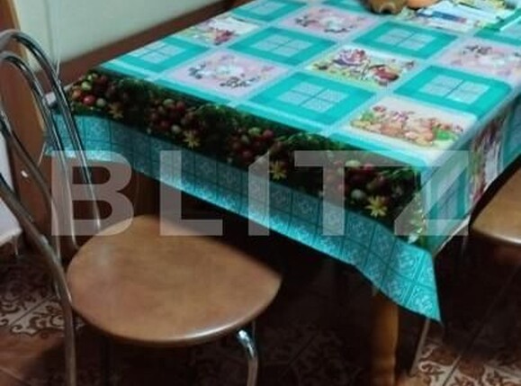 Casa de vânzare 2 camere Sud - 160074CV | BLITZ Satu Mare | Poza7