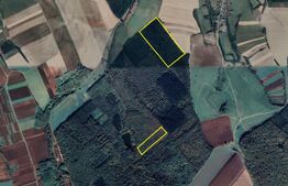 Pădure - Localitatea Pir, Județul Satu Mare