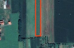 Teren de vânzare Exterior Nord - 161484TV | BLITZ Satu Mare | Poza5