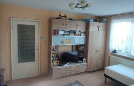 Apartament 2 camere, 50 mp, zona-Botizului