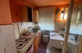 Apartament 3 camere, 55 mp utili, zona Botizului