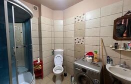 Casă tip P+1, cu 2 apartamente,  pe strada George Călinescu