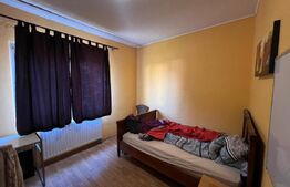 Casă tip P+1, cu 2 apartamente,  pe strada George Călinescu
