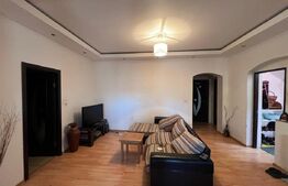 Casă tip P+1, cu 2 apartamente,  pe strada George Călinescu