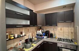 Casă tip P+1, cu 2 apartamente,  pe strada George Călinescu