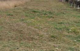 Teren de vanzare, 2450mp, zona Gorunului