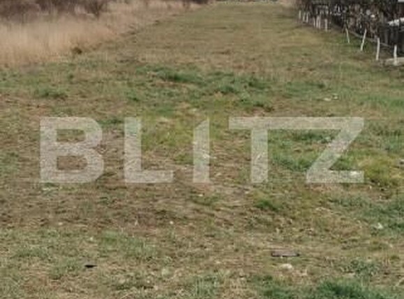 Teren de vânzare Periferie - 161194TV | BLITZ Satu Mare | Poza5