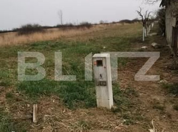 Teren de vânzare Periferie - 161194TV | BLITZ Satu Mare | Poza4