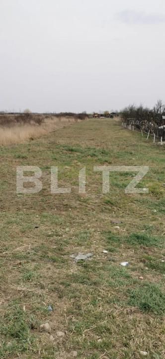 Teren de vânzare Periferie - 161194TV | BLITZ Satu Mare | Poza5