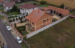 Casa de vanzare cu 6 camere, 480 mp, zona Vetis