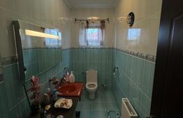 Casa de vanzare cu 6 camere, 480 mp, zona Vetis