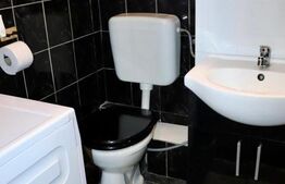 Apartament cu 2 camere,Botizului