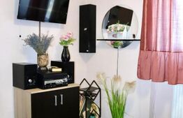 Apartament cu 2 camere,Botizului