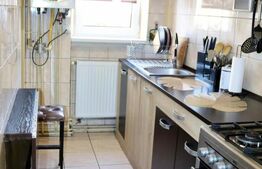 Apartament cu 2 camere,Botizului