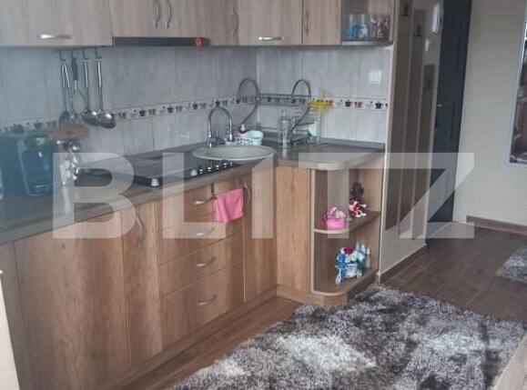 Apartament de vânzare 2 camere Careiului - 161598AV | BLITZ Satu Mare | Poza2