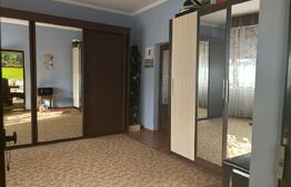 Casa de vzanzare, 240 mp, Zona Botizului
