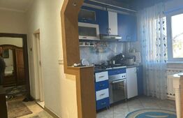 Casa de vzanzare, 240 mp, Zona Botizului
