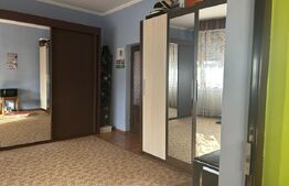 Casa de vzanzare, 240 mp, Zona Botizului