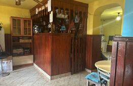 Casa de vzanzare, 240 mp, Zona Botizului