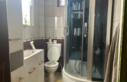 Casa de vzanzare, 240 mp, Zona Botizului