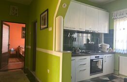 Casa de vzanzare, 240 mp, Zona Botizului