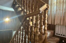 Casa de vzanzare, 240 mp, Zona Botizului