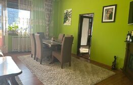 Casa de vzanzare, 240 mp, Zona Botizului