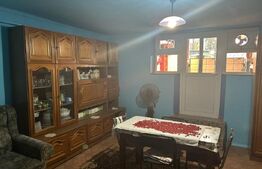 Casa de vzanzare, 240 mp, Zona Botizului