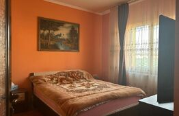 Casa de vzanzare, 240 mp, Zona Botizului