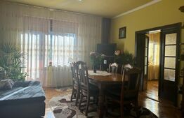 Casa de vzanzare, 240 mp, Zona Botizului