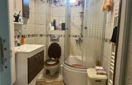 Casa de vzanzare, 240 mp, Zona Botizului