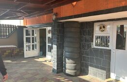 Casa de vzanzare, 240 mp, Zona Botizului
