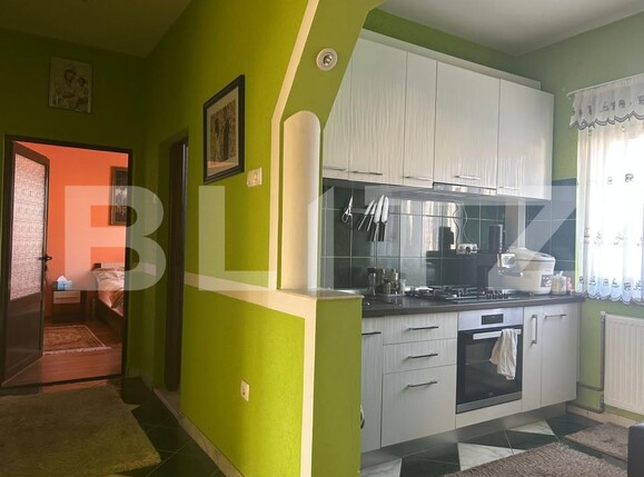 Casa de vânzare 9 camere Botizului - 161858CV | BLITZ Satu Mare | Poza13