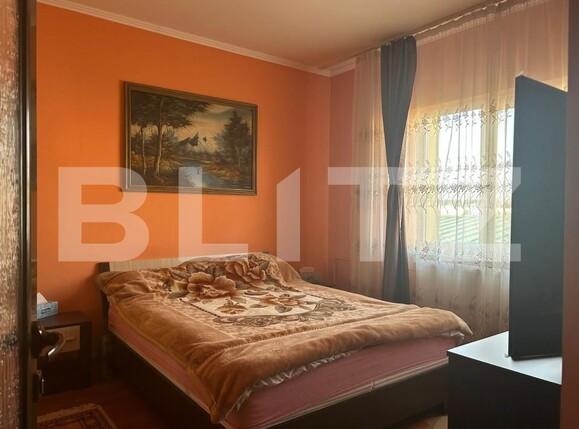Casa de vânzare 9 camere Botizului - 161858CV | BLITZ Satu Mare | Poza1