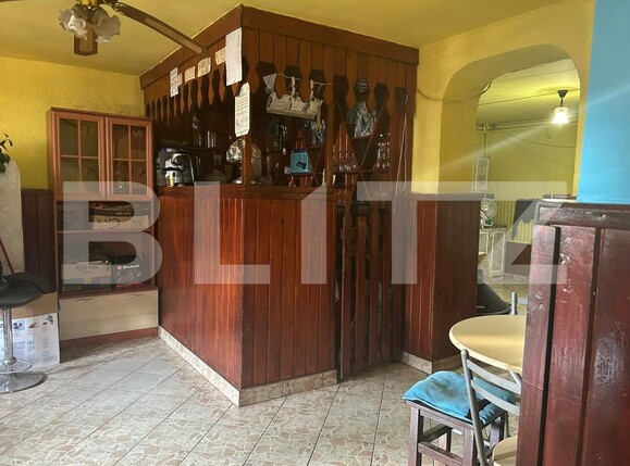 Casa de vânzare 9 camere Botizului - 161858CV | BLITZ Satu Mare | Poza4