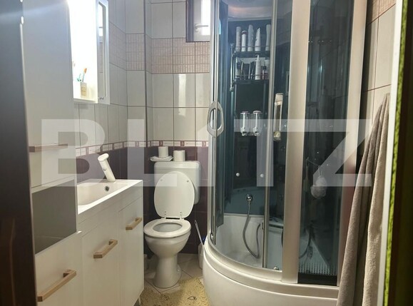 Casa de vânzare 9 camere Botizului - 161858CV | BLITZ Satu Mare | Poza6